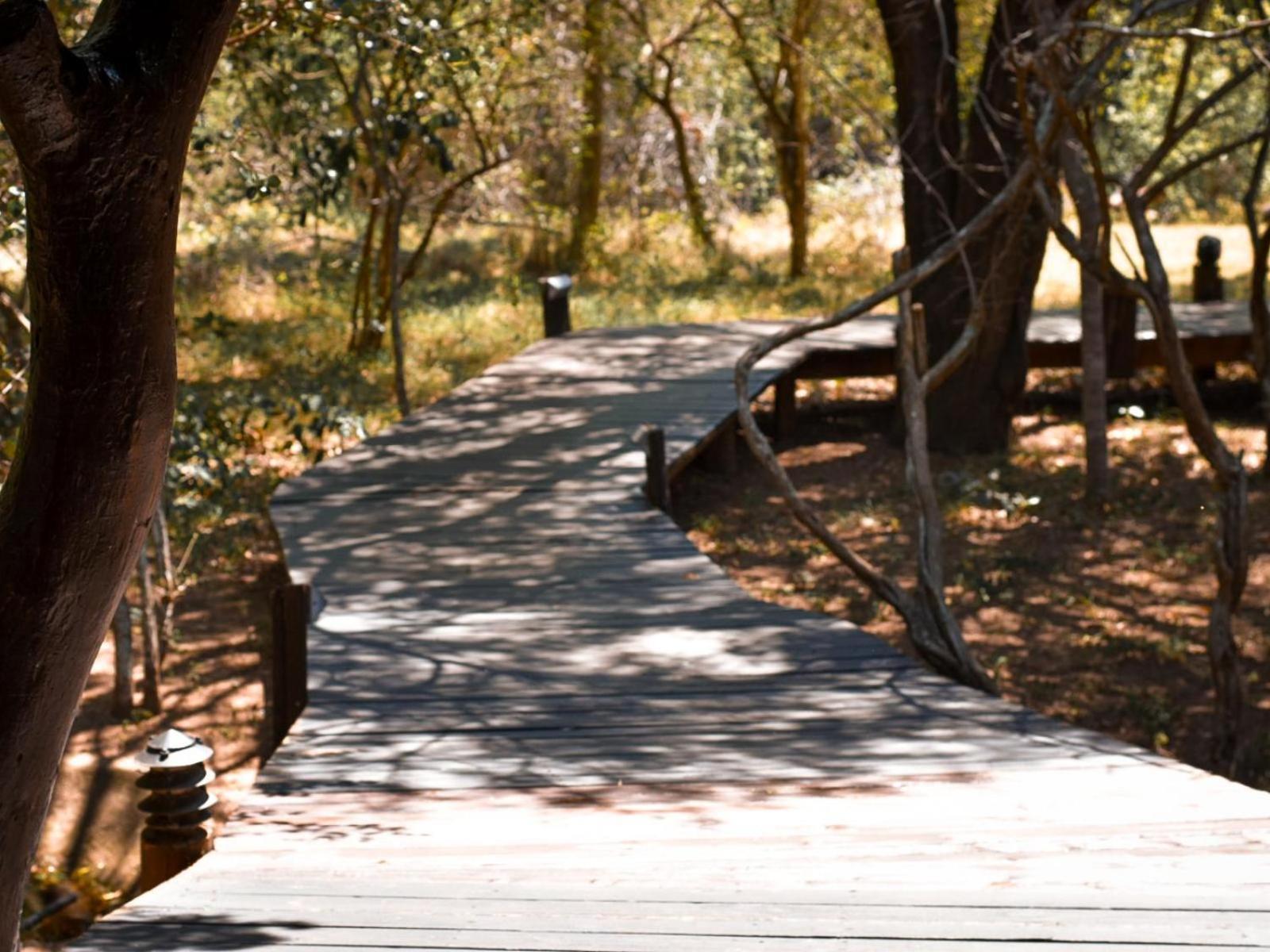 Ihlozi Bush Lodge Hluhluwe Dış mekan fotoğraf